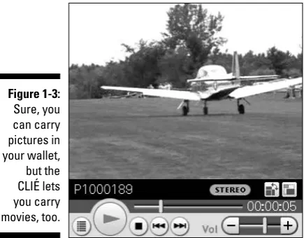 Figure 1-3:Sure, you