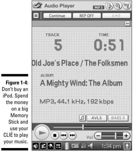 Figure 1-4:Don’t buy an
