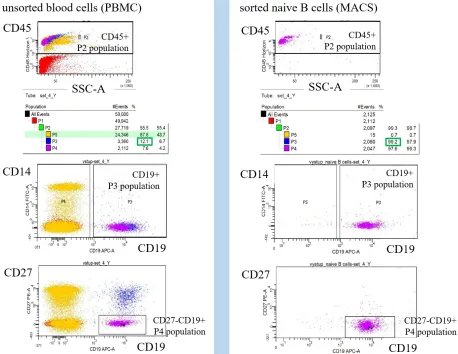 Figure 5: The Age-specific IL7R expression (n = 8). Western blotting of four pairs of young and early aged sorted naive B cell samples is shown.