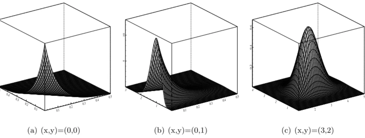 Figure 3: Shape of gamma kernels at (x, y). The bandwidth parameters b 1 = b 2 = 0.2.