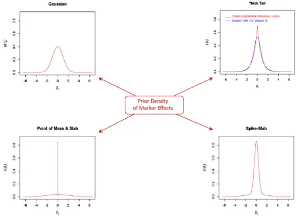 Figure 2.1 Prior densities of marker effects. Top left panel is a normal prior. Top right panel is thick-tail priors