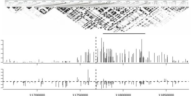 Figure 3.1: Effects of linkage disequilibrium in association studies. Each plot refers to a 200 kbp region of Human Chromosome 1, centred on the MTHFR gene