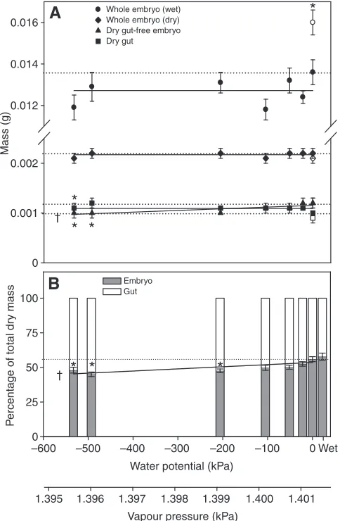 Table 3. Morphology of G. victoriana embryos incubated to stage 26 at a range of water potentials 
