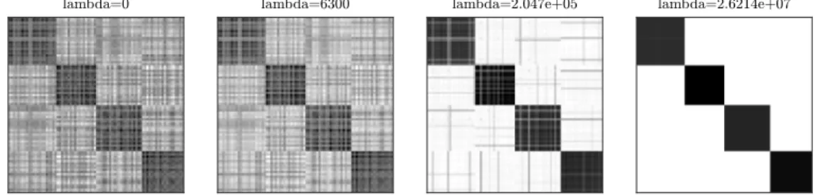 Figure 3.1: Illustration of YY T for iterations of Algorithm 1 with successive values of λ.