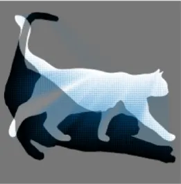 Figure 2.8: ρ 0 , ρ 1 are the white standing cat and the black crouching cat, respectively.