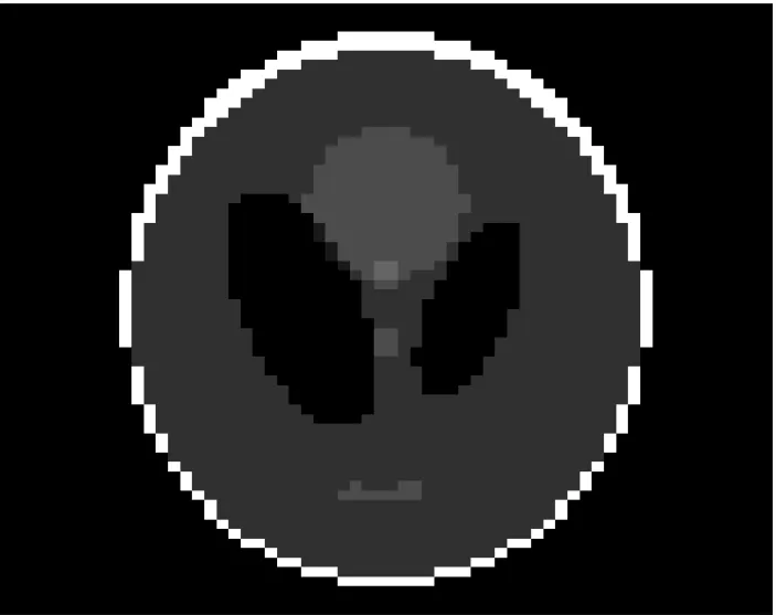 Figure 8.9: Shepp-Logan Phantom used. Image is in [0, 1] color scale.