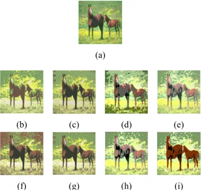 Figure 2.2: Segmentation results for the f rst image from the Berkeley dataset. (a) GT, (b) GM, (c) IGM, (d) GGM, (e) IGGM, (f) GM+FS, (g) IGM+FS, (h) GGM+FS, (i) IGGM+FS.