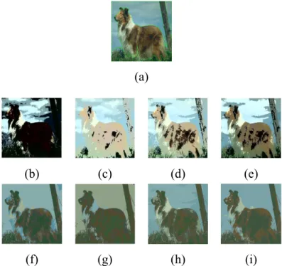 Figure 2.4: Segmentation results for the third image from the Berkeley dataset. (a) GT, (b) GM, (c) IGM, (d) GGM, (e) IGGM, (f) GM+FS, (g) IGM+FS, (h) GGM+FS, (i) IGGM+FS.