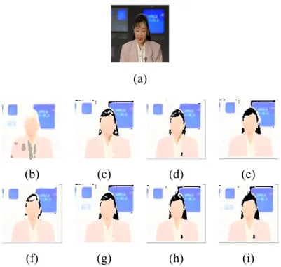 Figure 2.5: Sample image from Akiyo video. (a) Sample frame, (b) GM, (c) IGM, (d) GGM, (e) IGGM, (f) GM+FS, (g) IGM+FS, (h) GGM+FS, (i) IGGM+FS.