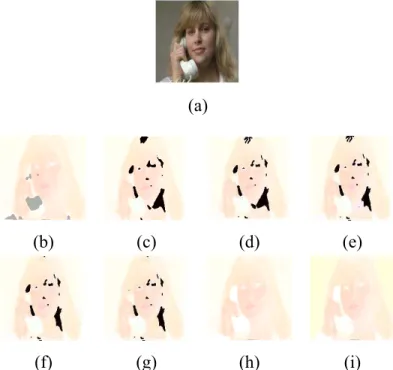 Figure 2.6: Sample image from Suzie video. (a) Sample frame, (b) GM, (c) IGM, (d) GGM, (e) IGGM, (f) GM+FS, (g) IGM+FS, (h) GGM+FS, (i) IGGM+FS.