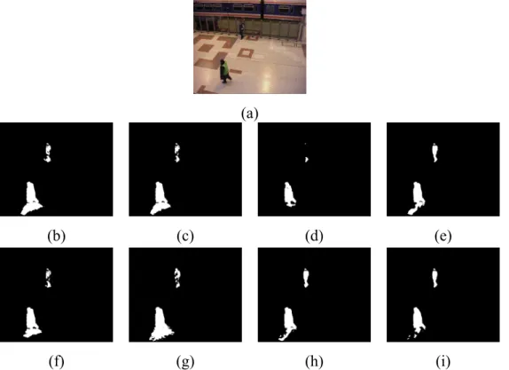 Figure 3.2: (a) Sample frame from Pets2006 video sequence in the baseline category, (b) Stauffer et al