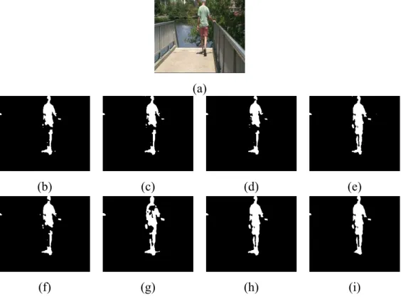 Figure 3.3: (a) Sample frame from Overpass video sequence in the dynamic background category, (b) Stauffer et al