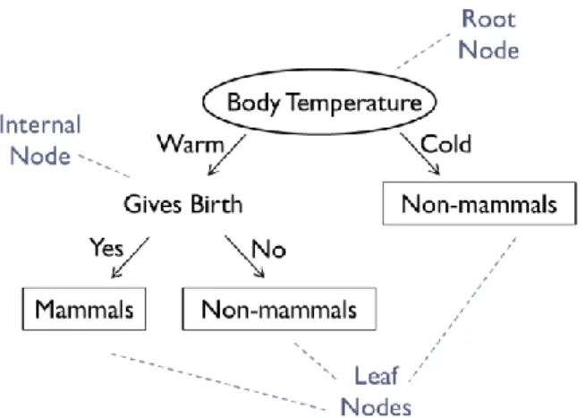 Figure 8. Decision tree classifier for the mammal classification problem. Three types of nodes can  be distinguished, where the leaf nodes designate the final outcome or prediction