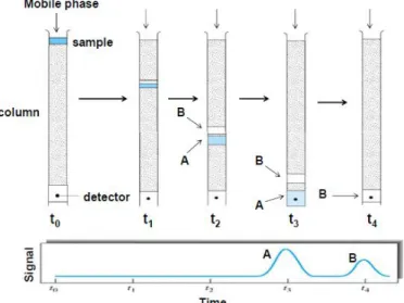 Figure  9.  Scheme  of  the  chromatographic  elution  process.  The  mobile  phase  flows  continuously  through the column, which is packed with the stationary phase