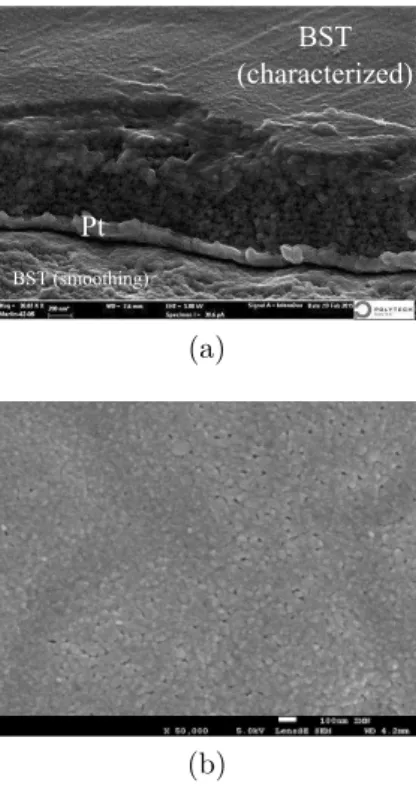 Figure 1: Cross section (a) and surface (b) SEM micrograph of the deposited thin film.