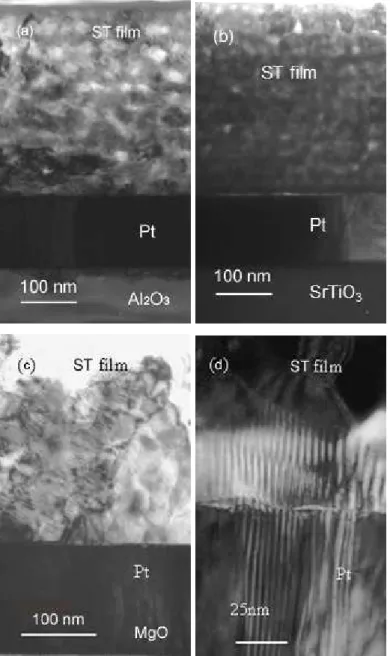 Fig. 7. Cross-section TEM micrographs of ST films on Al 2 O 3 /Pt (a), SrTiO 3 /Pt (b) and  MgO/Pt (c, d) substrates