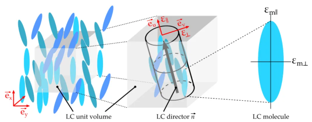Figure 3. Definition of the director ~ n for a single LC unit volume element in the device’s coordinate system (xyz) and relation to the permittivities defined in the material’s coordinate system (uvw) with the material properties ε mk , ε m⊥ and the macro