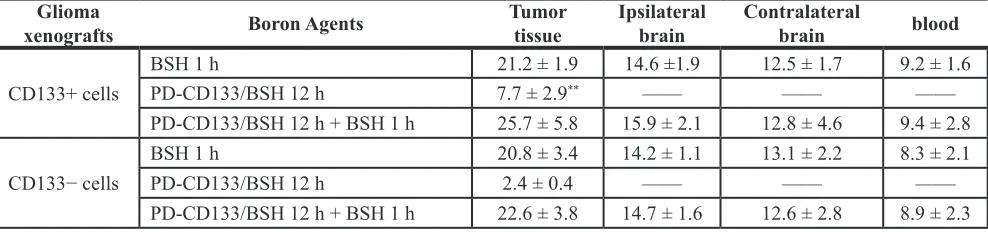 Table 2: Boron concentrations in tumor, ipsilateral brain, contralateral brain and blood after injection of single BSH, PD-CD133/BSH or combination into mice with CD133+ or CD133− glioma cells xenografts (mean ± SE, μg/g)