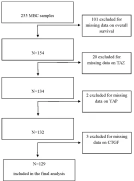 Figure 1: Flow diagram of the patients’ selection process.