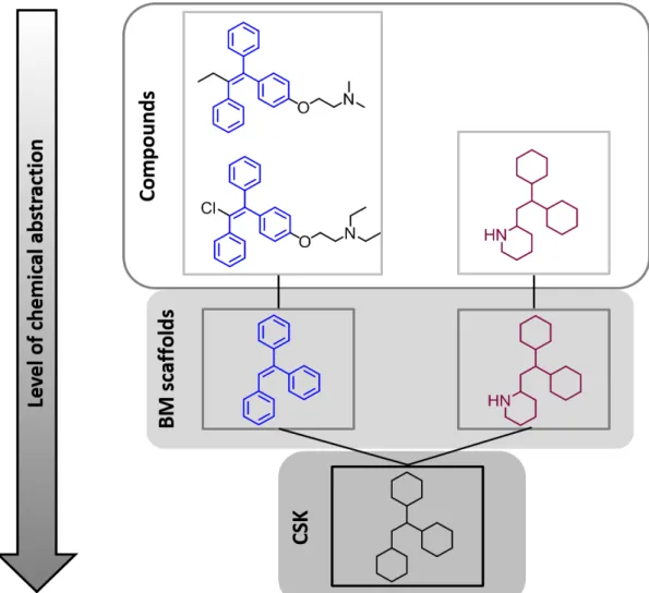 Figure 1.4: Compound-scaold-CSK hierarchy. For three exemplary compounds, cor- cor-responding scaolds and CSKs are shown