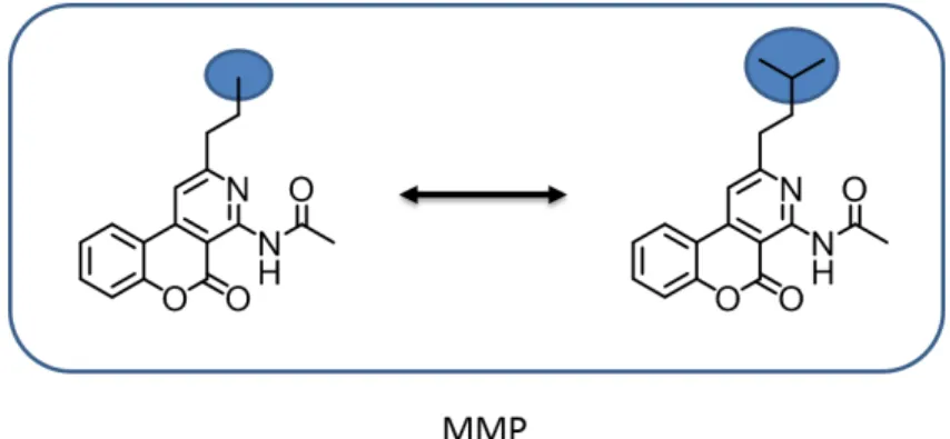 Figure 1.5: Matched molecular pair. Two compounds forming an MMP relationship are shown