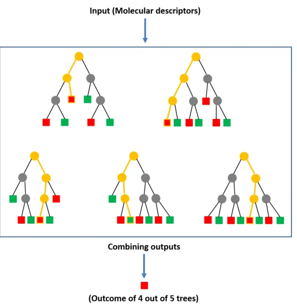 Figure 1.7: Random forest. Five exemplary decision trees are shown, which form a random forest for classication