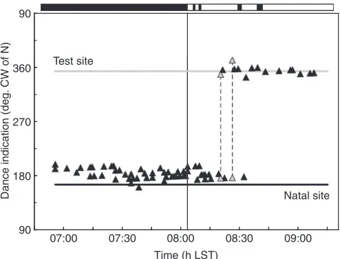 Fig. 4. Dance indications of bees under overcast skies at the test site on 16August 2007
