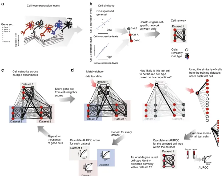 = 0.80 ± 0.1, Fig. 2a). A bootstrapped sampling of the datasets showed a trend toward increased performance with the inclusion of additional training data, indicating that we are recognizing an aggregate signal across datasets (Supplementary Fig