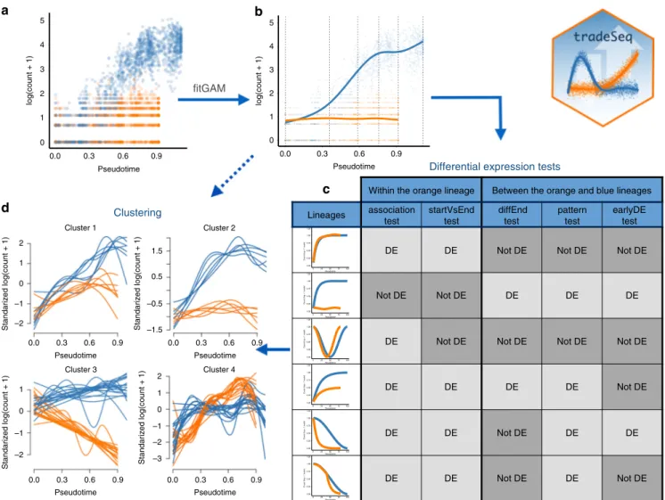 Fig. 1 Overview of tradeSeq functionality. a A scatterplot of expression measures vs. pseudotimes for a single gene, where each lineage is represented by a different color (top left)