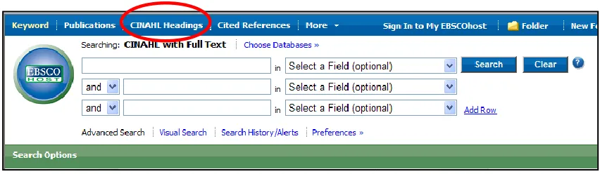 Figure 5  – CINAHL Headings Tab  