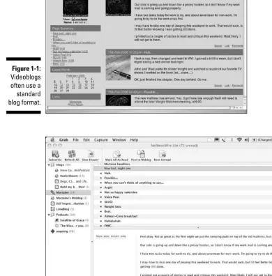 Figure 1-1:Videoblogs