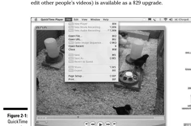 Figure 2-1:QuickTime
