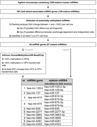 Figure 2: Schematic overview of the analysis pipeline used to select the most promising potential methylation targets.