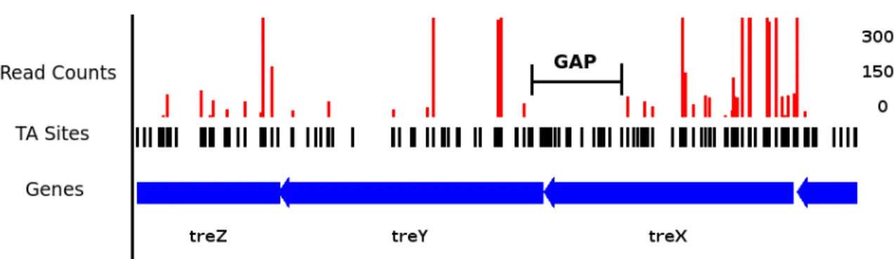 Figure 2.1: Insertion pattern for TreX, a gene involved in trehalose biosynthesis. The presence of a long gap - a region of sites without any insertions - suggests the gene may code for a protein domain that plays an essential role.