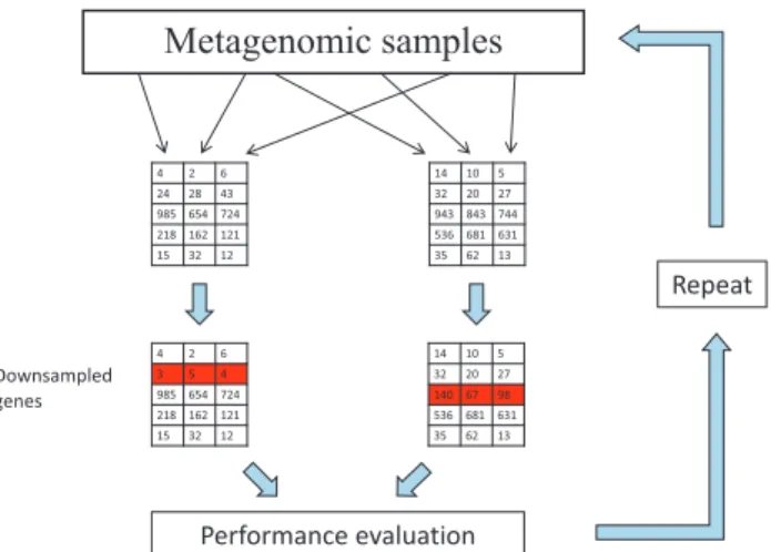 Figure 2: Generating resampled data to evaluate performance. First draw a subset of samples from a large metagenomic data set and randomly assign them to two groups.