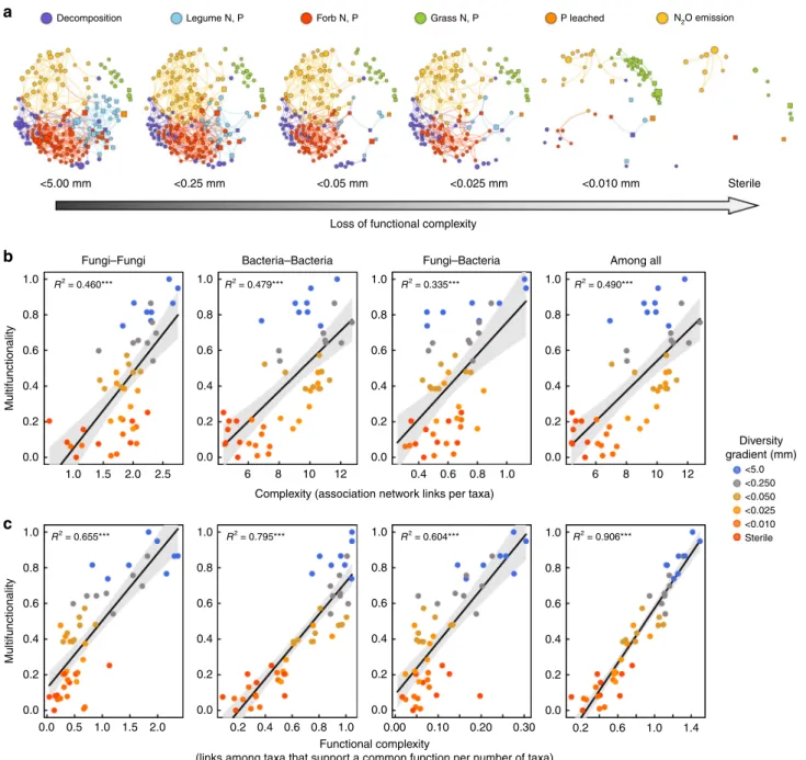 Fig. 3 Relationship between microbial association network complexity and multifunctionality