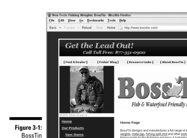 Figure 3-1:BossTin