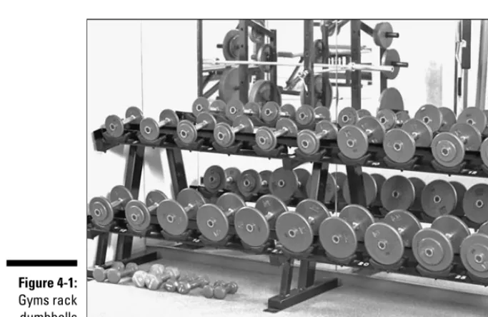 Figure 4-1:Gyms rack