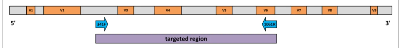 Figure 1.1: Schematic depiction of the distribution of hypervariable (red rectangles) and conserved (grey rectangles) regions on the 16S rRNA gene