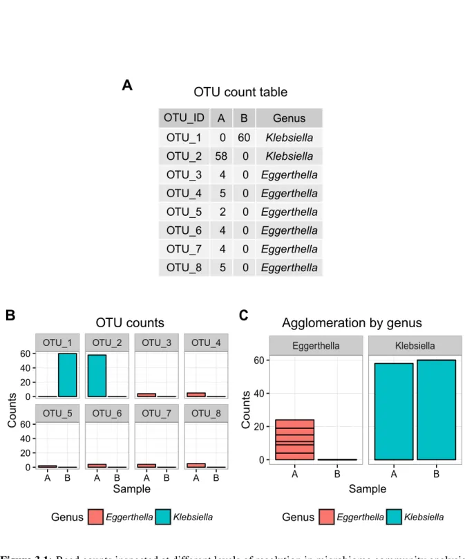 Figure 3.1: Read counts inspected at different levels of resolution in microbiome community analysis.