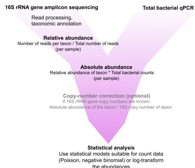 Fig 2. Workflow for implementation of qPCR-based quantitative microbiome profiling. All of these steps are included in R package mare [18].