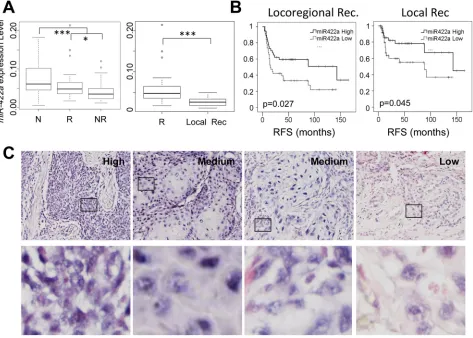 Figure 1: The level of expression of miR-422a is downregulated in oropharynx tumors from patients who have experienced early loco-regional recurrence
