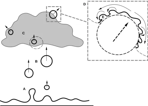 Figure 2: Our general scheme: bubbles birth (A) and rising (B), cloud bubbles motion (C), bubble substructures (D), waves becoming vortices (E).