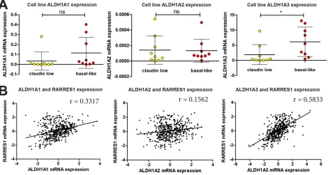 Figure 8: ALDH1A3 expression correlates and colocalizes with RARRES1 expression in patient tumors
