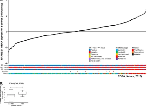 Figure 1: RARRES1 is highly expressed in triple-negative breast cancer. A. Expression of RARRES1 mRNA was obtained from cBioportal [18] and plotted in ascending order with corresponding ER / Her2 / PR status, mutation status, and PAM50 subtype