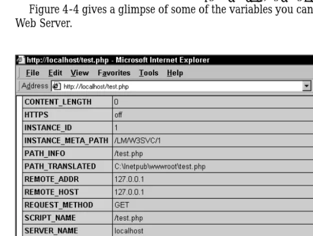 Figure 4-4: Personal Web Server variables