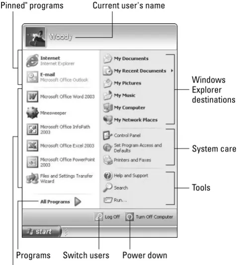 Figure 3-1:Woody’s
