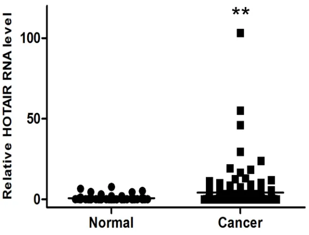 Figure 1: Elevated expression of HOTAIR in human cervical cancer serum. HOTAIR expression was significantly higher in cervical cancer serum (n = 153) than in normal serum (n = 80)