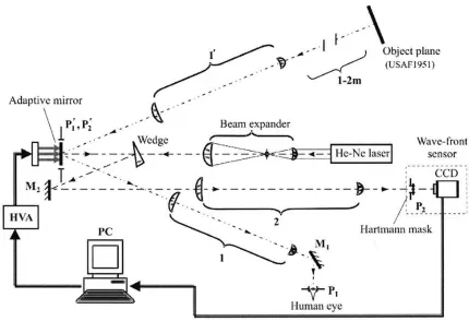 Figure 5: Experimental setup for subjective feedback loop to improve visual acuity and determine aberrations of the human eye