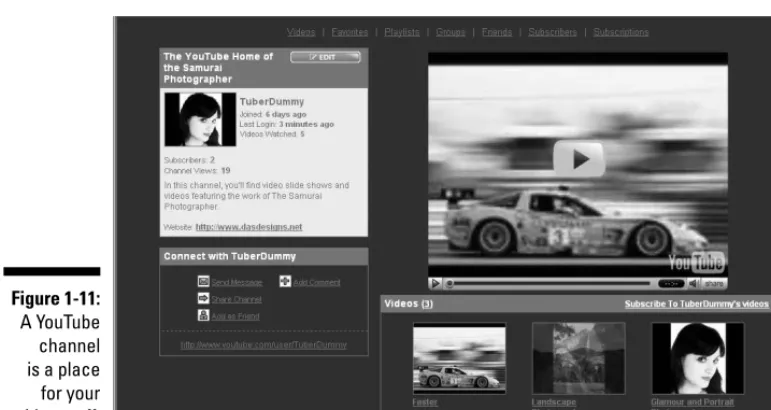 Figure 1-11:A YouTube